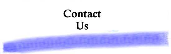 Contact Us Header